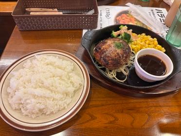 ハンバーグ(シャリアピンソース) ハンバーグ(シャリアピンソース)