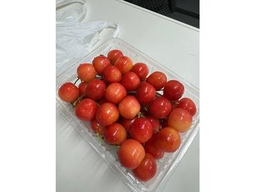 いただいたさくらんぼ いただいたさくらんぼ