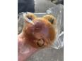 かえるパン