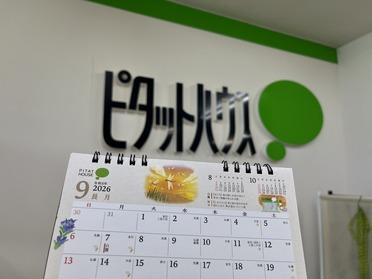 涼しくなってきます！
