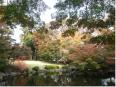 秋は紅葉へ 秋は紅葉へ