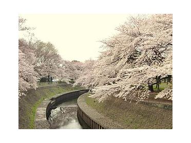 花見が有名な公園です! 花見が有名な公園です!