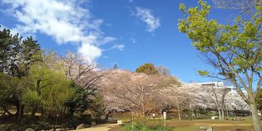 梶ヶ谷第一公園