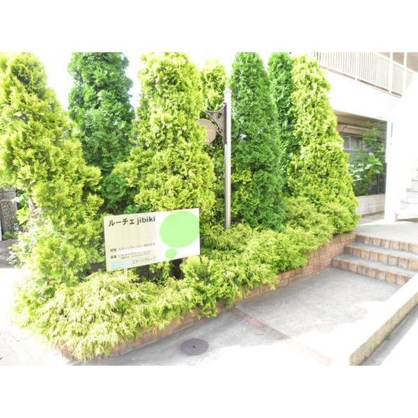 ルーチェｊｉｂｉｋｉ（0202） その他
