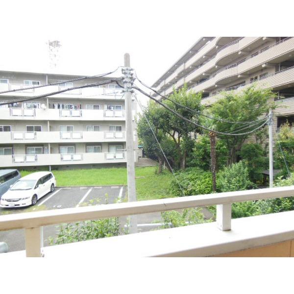 ｐａｔｉｏ　ｃｅｒｅｚａ（0203） その他