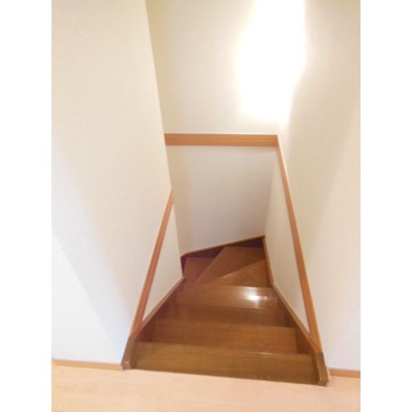 ｐａｔｉｏ　ｃｅｒｅｚａ（0203） その他