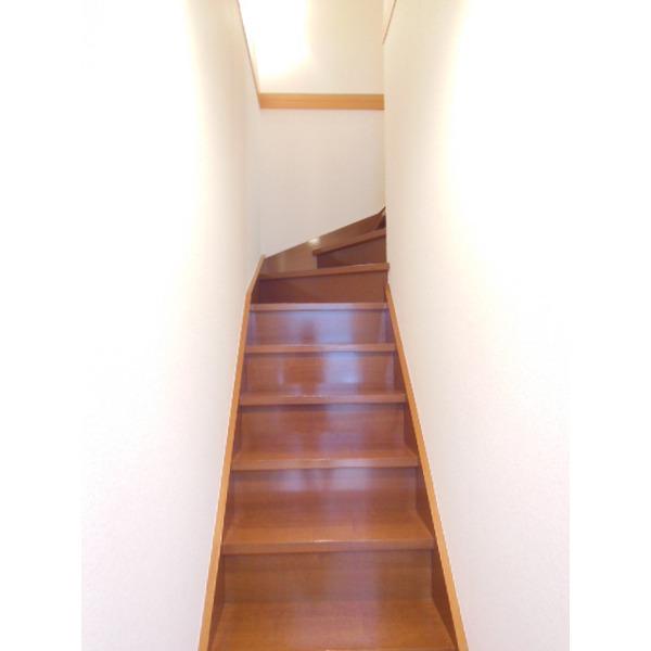 ｐａｔｉｏ　ｃｅｒｅｚａ（0203） その他