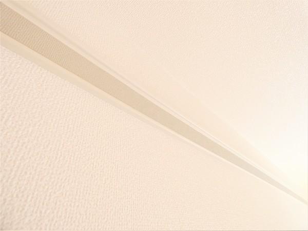 グランシャリオ（0102） その他