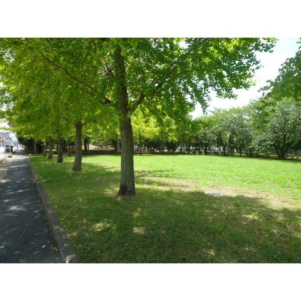 稲岸公園：219m