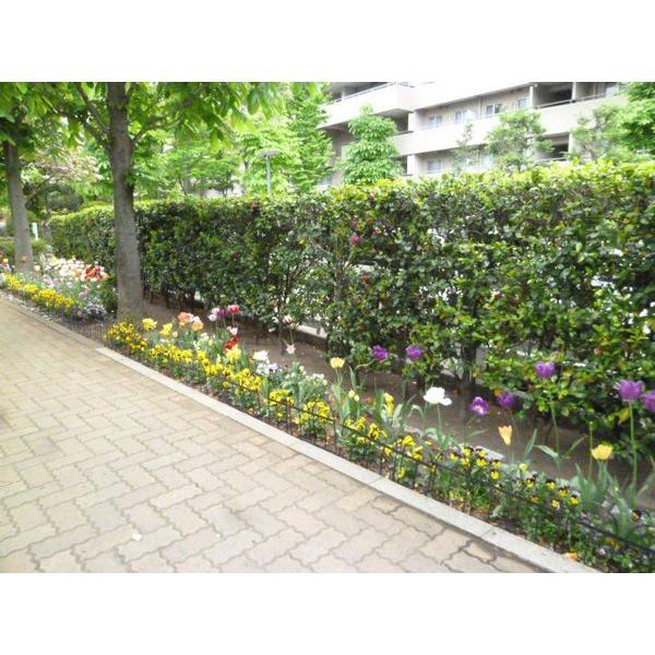 ヴィルヌーブ南越谷Ａ棟（0905） その他