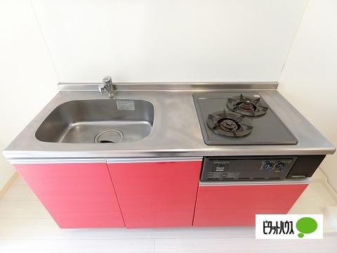 ヴェルデ笹塚（0101） 部屋画像