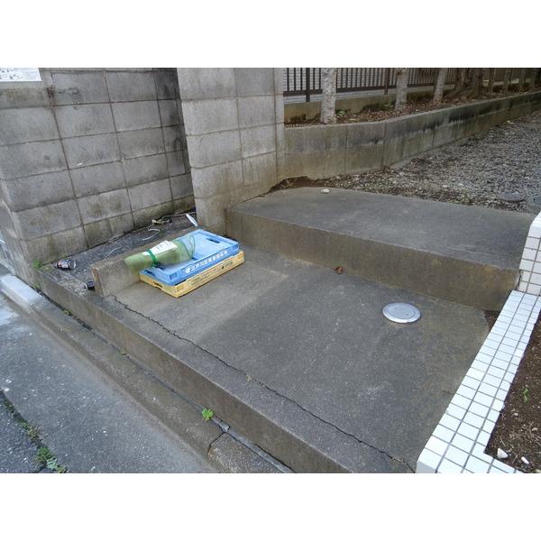 シノカズシャイニング（0203） その他