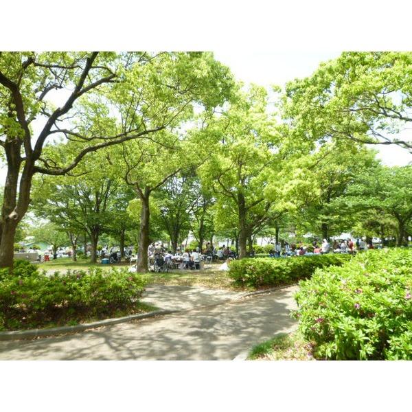 北篠崎二丁目広場：380m