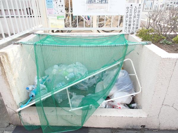 ストロベリーファーム（0203） その他