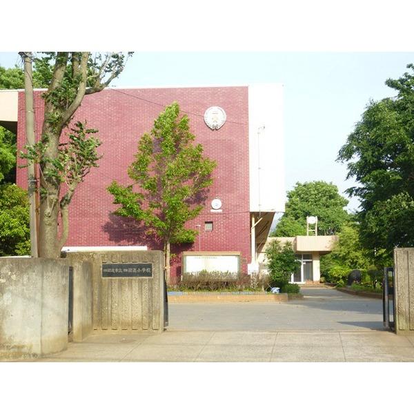 四街道市立四街道小学校：291m