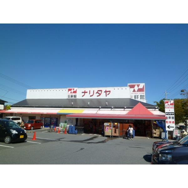 ナリタヤ：150m