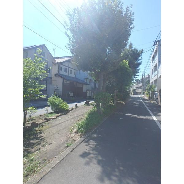 呑川柿の木坂支流緑道：576m