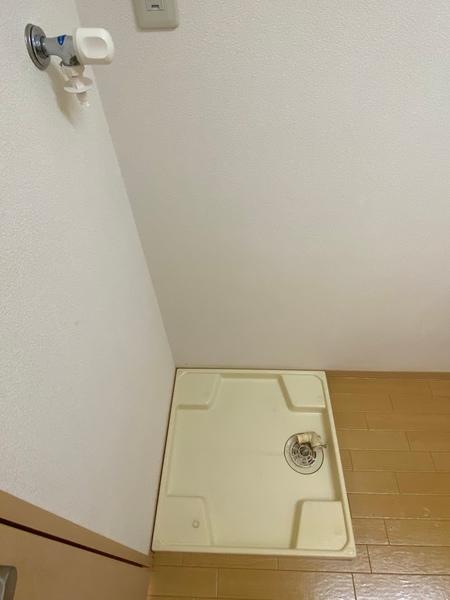 クリサンスⅢ（0202） その他