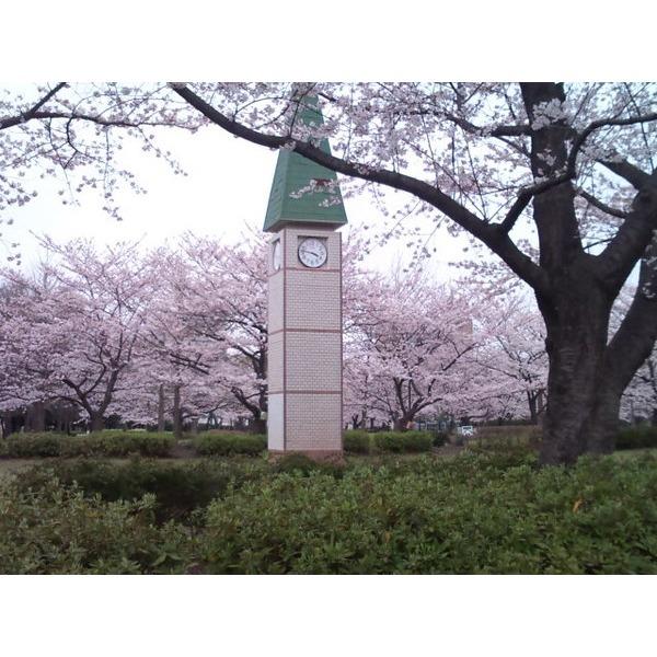竪川親水公園：964m