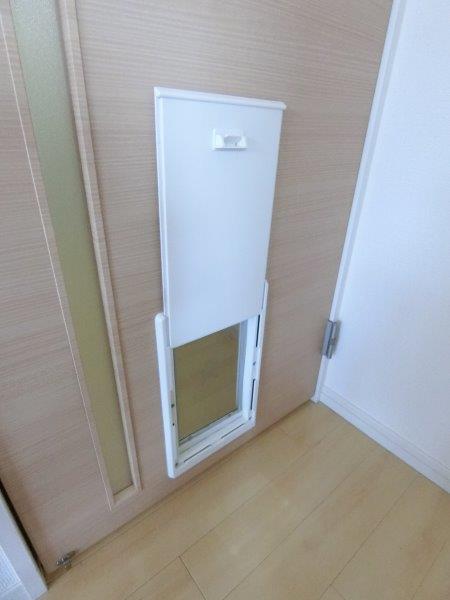 Ｃｏｍｐａｎｅｒｏ（0004） 部屋画像