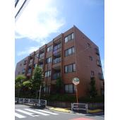 陽当たり良好です