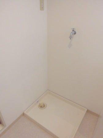 カターラセイシン（0301） その他