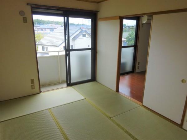 ヒルトップガーデンＢ棟（0202） 部屋画像