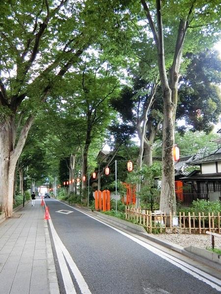 氷川緑地：819m