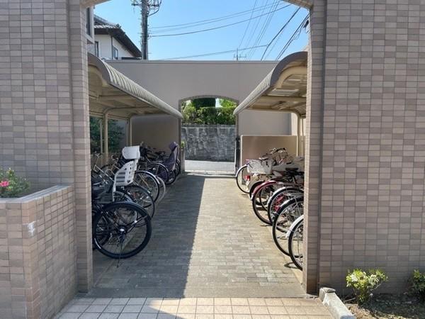アレスルーチェ（0308） その他