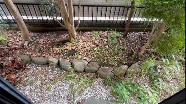 北寺尾３丁目戸建（0001） 庭