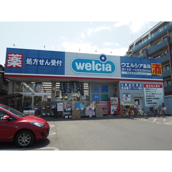 ウエルシア富士見東みずほ台店：425m