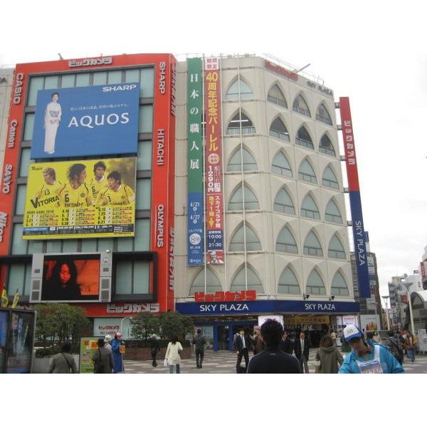ビックカメラ柏店：373m