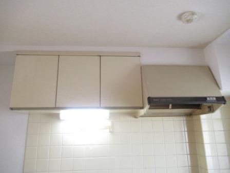 松丸ハイツⅡ（0105） 部屋画像