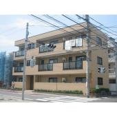 陽当たり良好◎