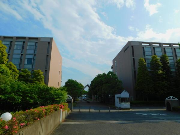 川村学園女子大学図書館：741m
