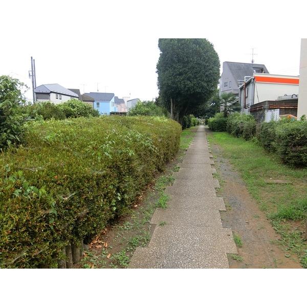水道緑地：539m