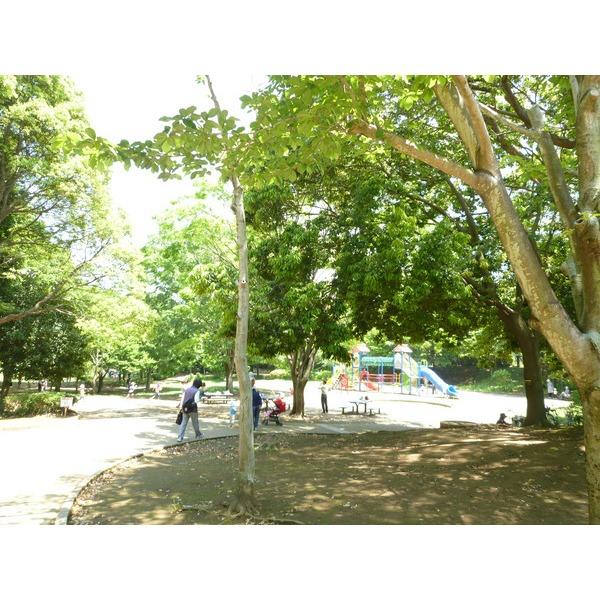 美しが丘近隣公園：401m