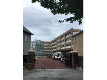 私立目黒日本大学高校：485m