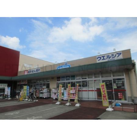 ウエルシア春日部武里店：578m