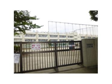 葛飾区立上小松小学校：341m