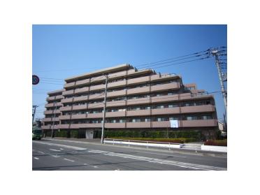 前面に建物無く陽当り良好