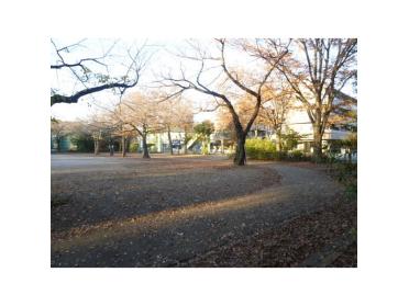 赤塚植物園：1006m
