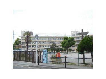 市川市立新浜小学校：547m