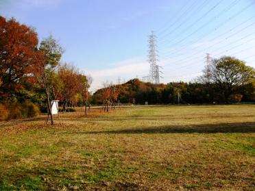 太尾見晴らしの丘公園：2553m