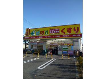 どらっぐぱぱす四つ木平和橋通り店：267m