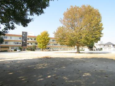 八千代市立大和田小学校：559m