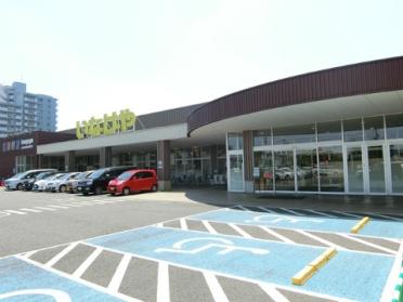 いなげや小平小川橋店：664m