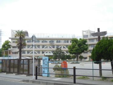 市川市立新浜小学校：443m