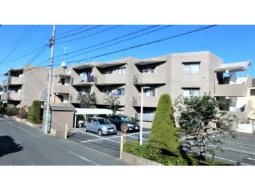 鉄筋コンクリート造！駐車場・駐輪場もあり