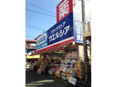 ウエルシア氷川台駅前店：261m